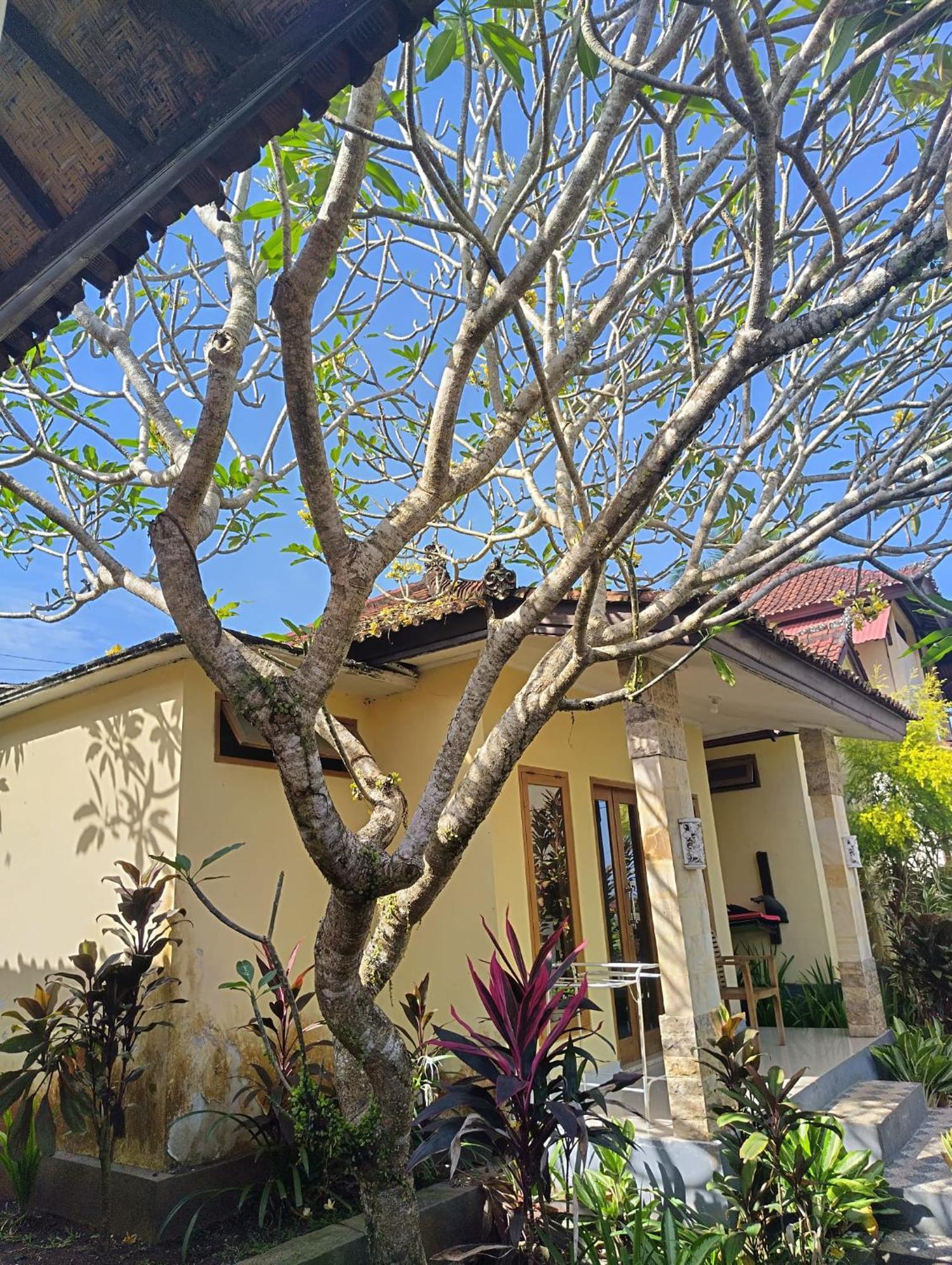 Kirra'S Beach House 普卢坎 外观 照片