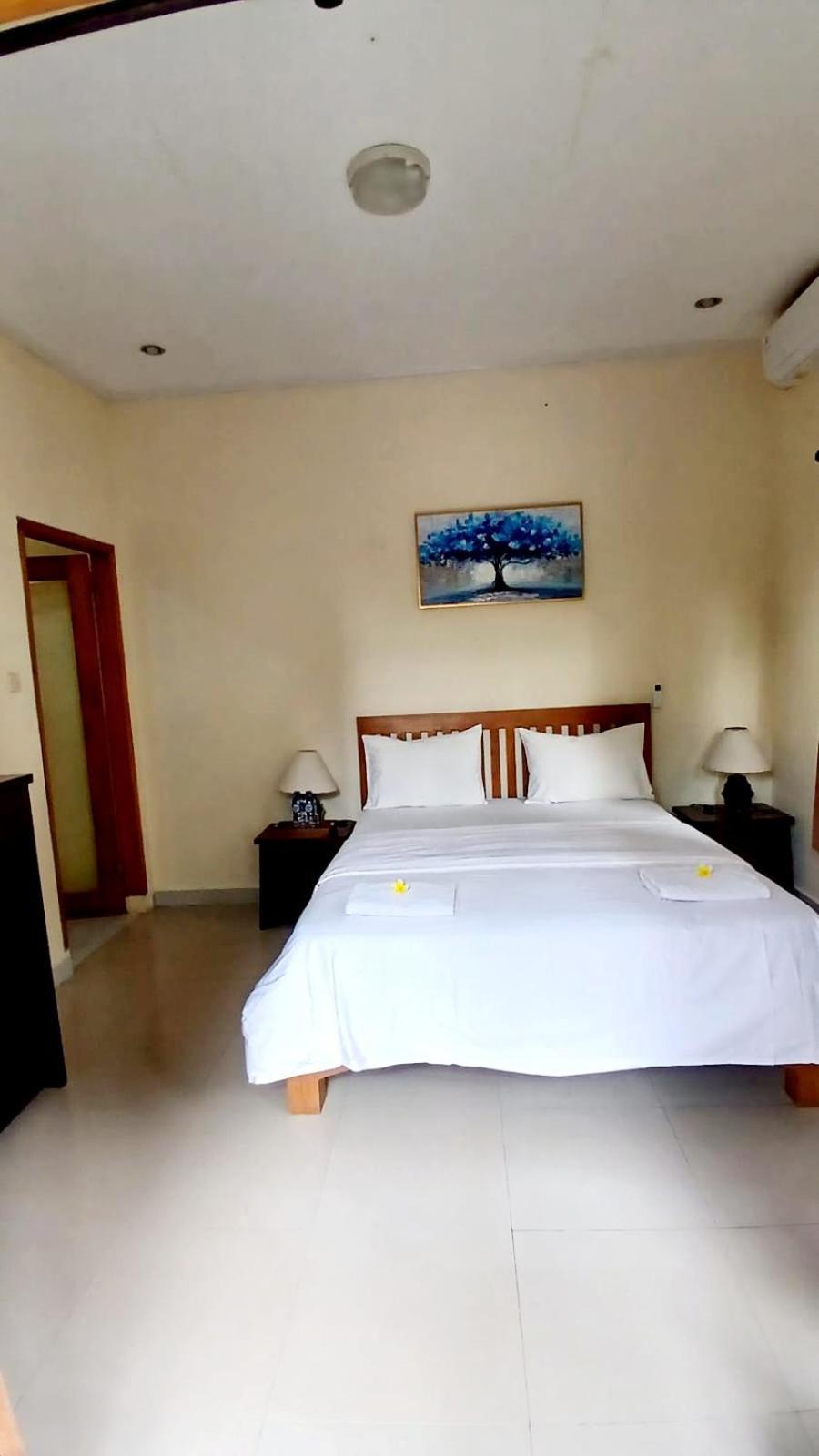 Kirra'S Beach House 普卢坎 外观 照片