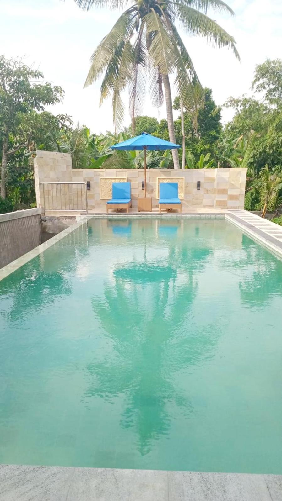 Kirra'S Beach House 普卢坎 外观 照片