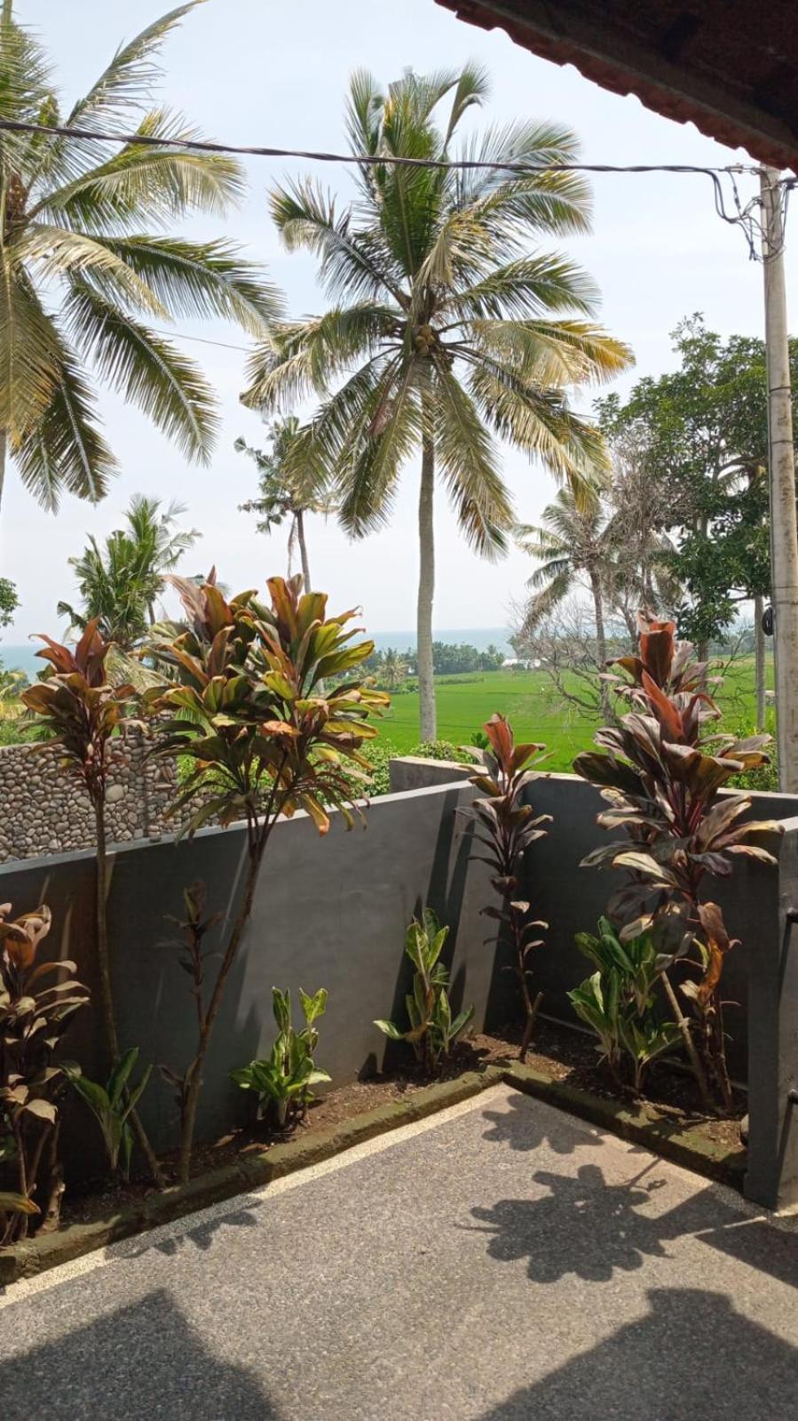 Kirra'S Beach House 普卢坎 外观 照片