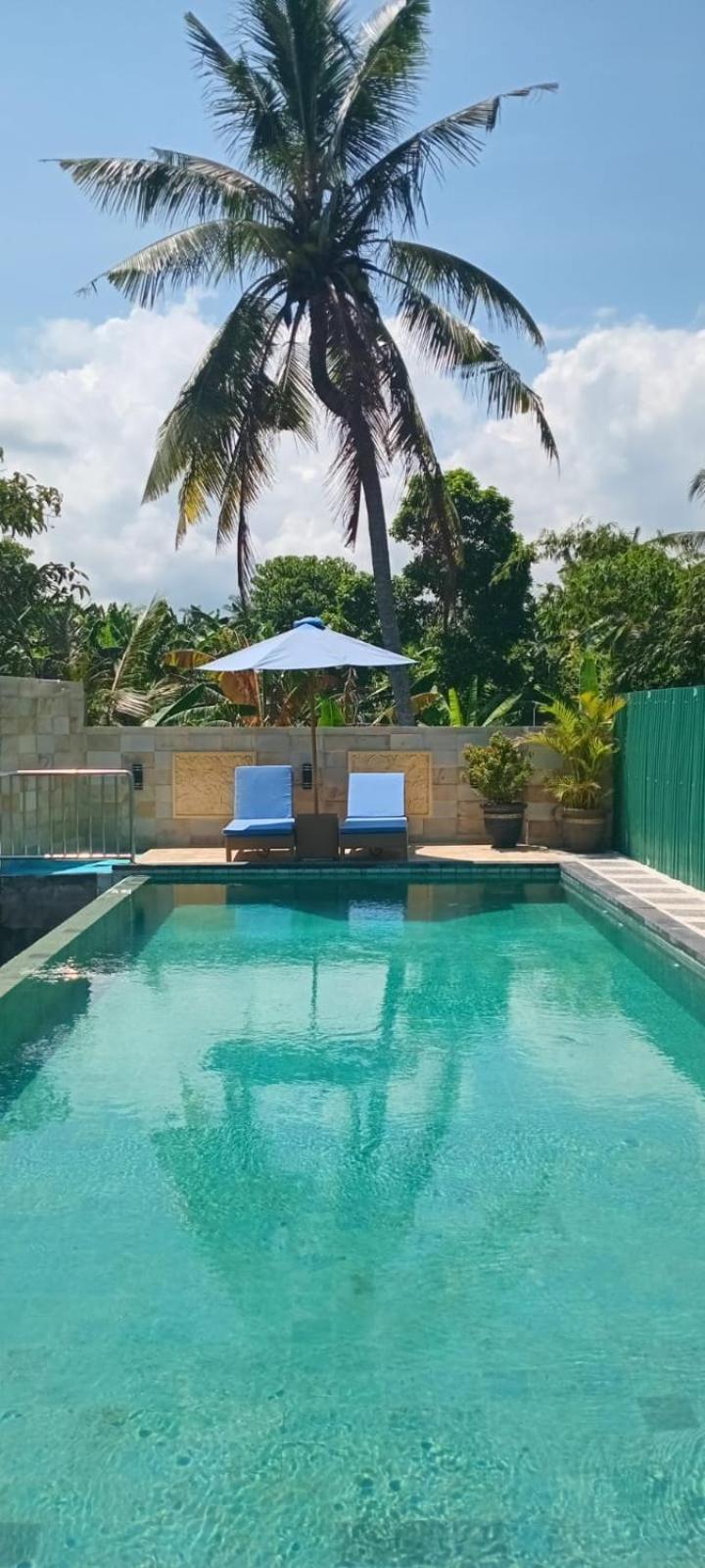 Kirra'S Beach House 普卢坎 外观 照片